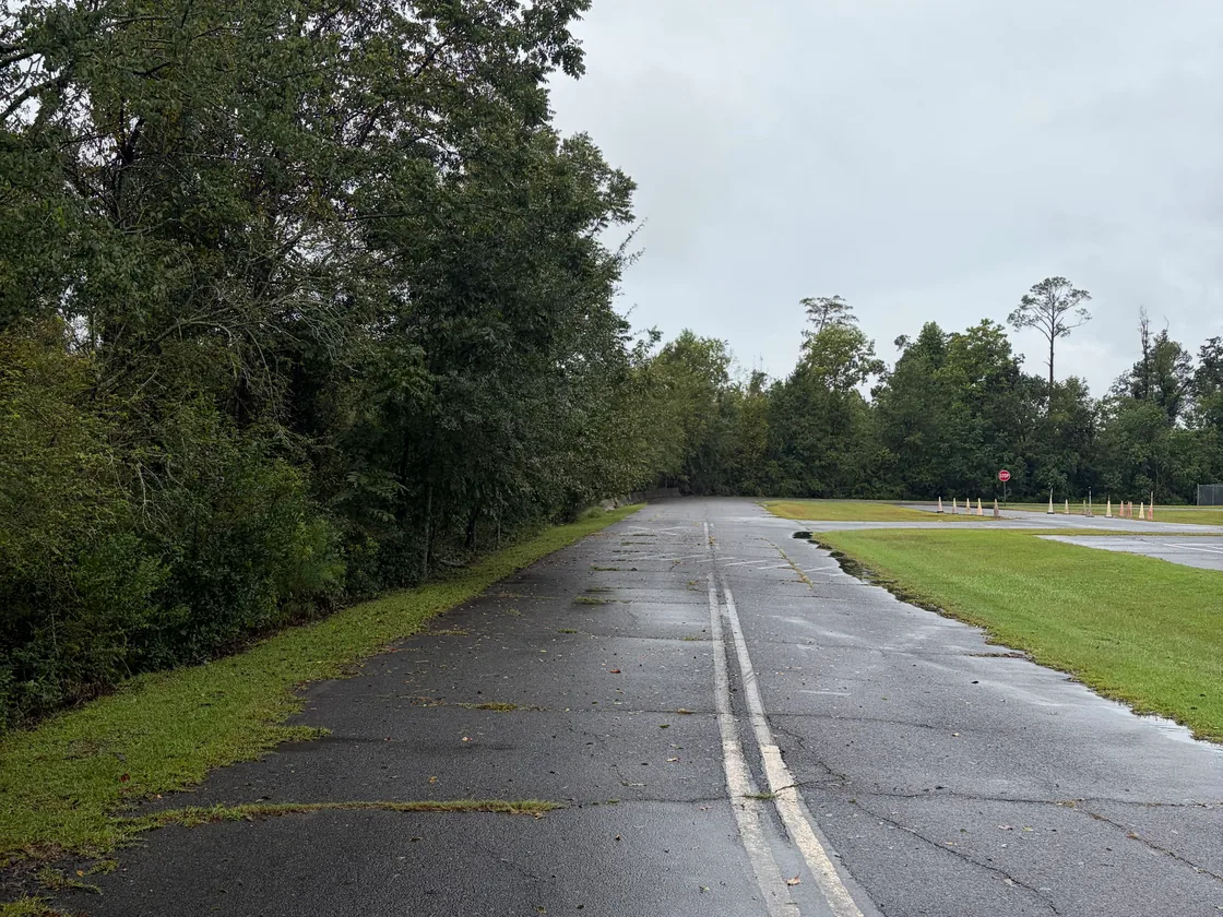 Road shoulder cleared of overhanging brush, bush hogging and brush cutting