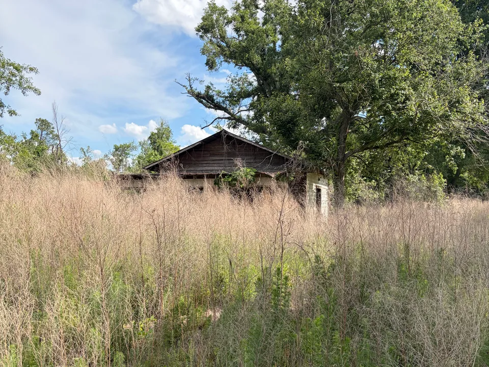 Old house behind tall overgrown grass, demolition