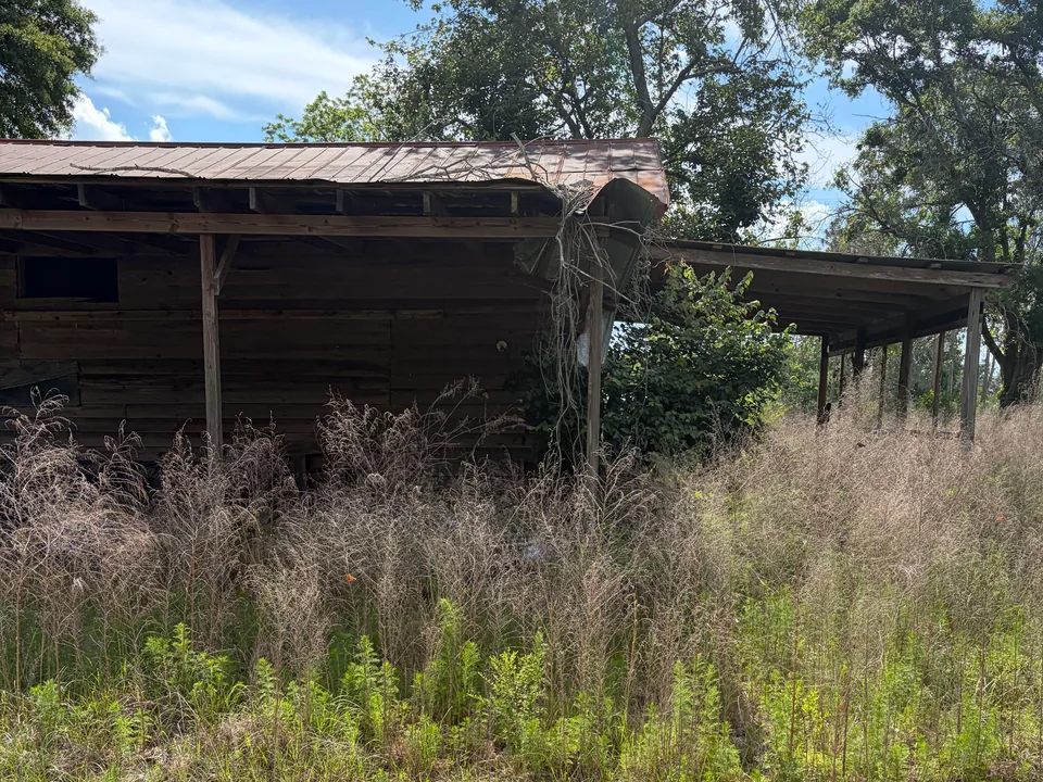 Old open front shed in an overgrown yard, demolition