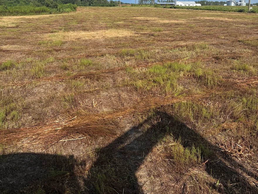Shadow of a machine across a freshly cut field, excavation and dirt work