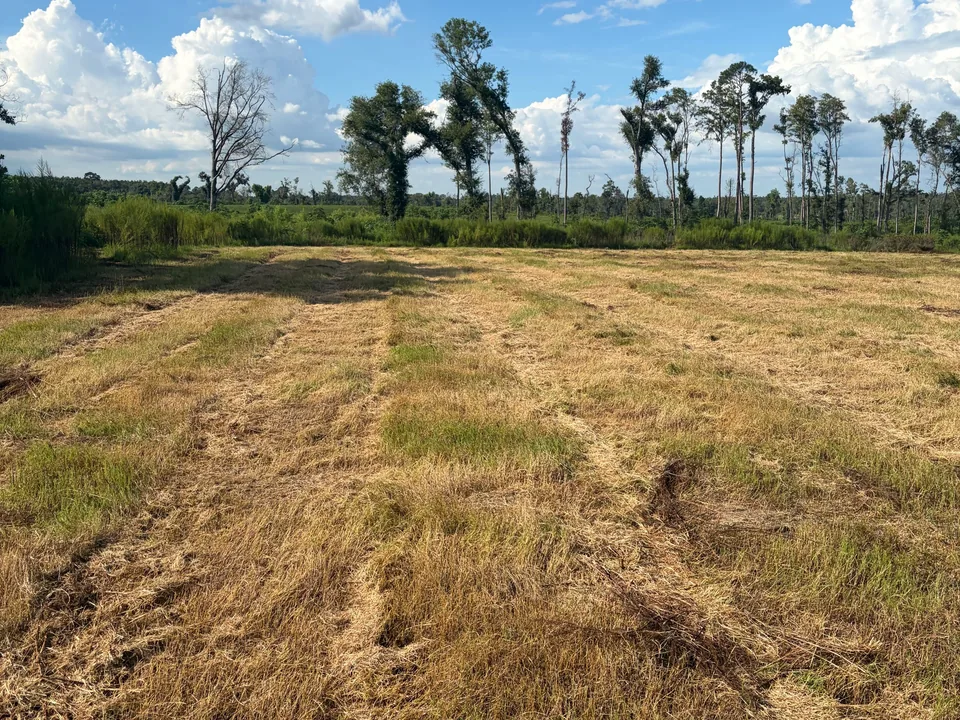 Machine track marks across a cut field, excavation and dirt work