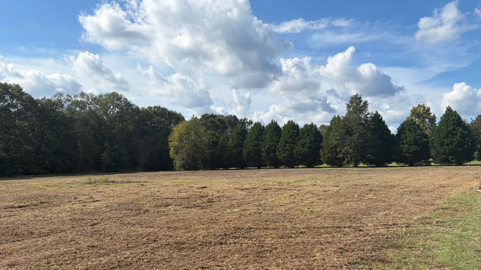 Freshly cleared field below a row of evergreen trees, septic tank installation and land clearing