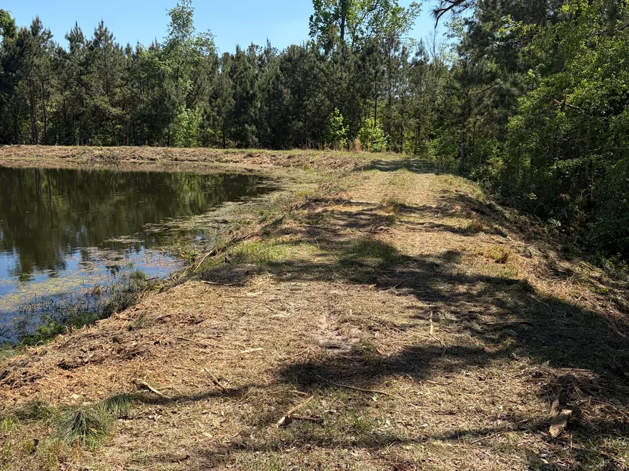 Cleared bank between a pond and the woods, land clearing