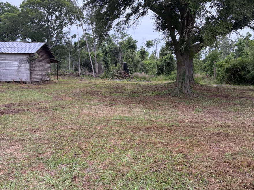 Cleared lot with an old shed under a live oak, land clearing