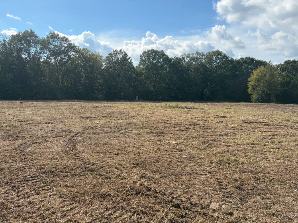 Wide field cleared down to the ground below a tree line, land clearing