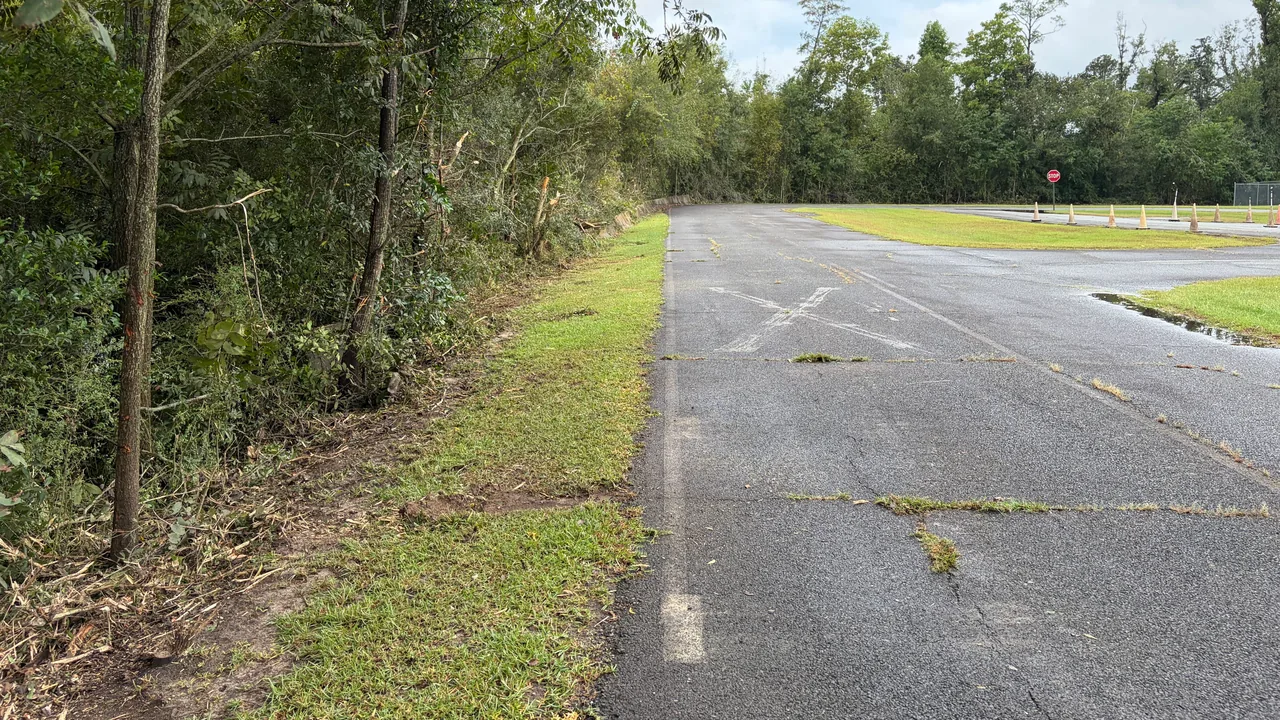 Brush cut back along a paved road, brush cutting