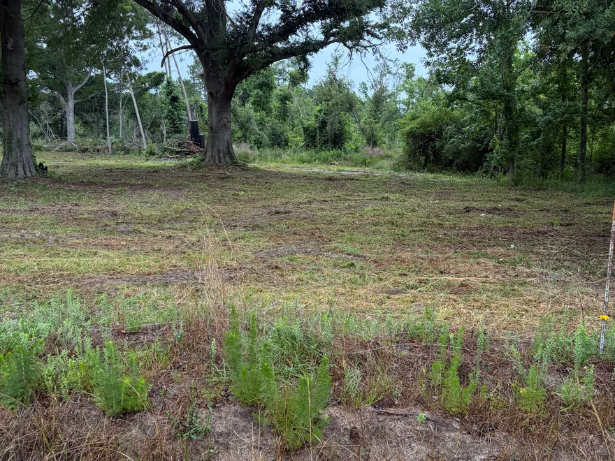Cut lot under a live oak with sandy ground in front, mobile home pad site