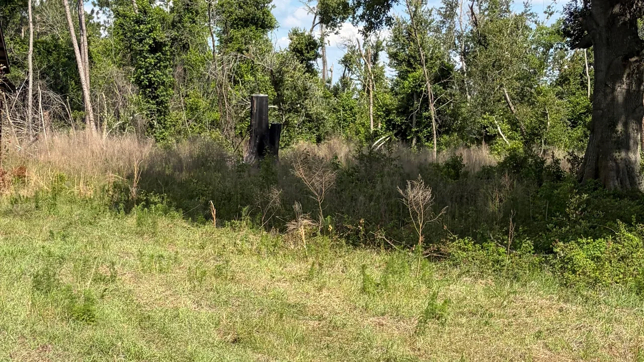 Septic tank installation in Alma, GA