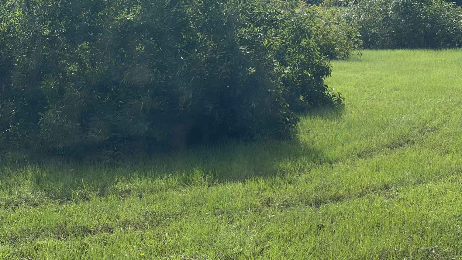 Septic tank installation in Ocilla, GA