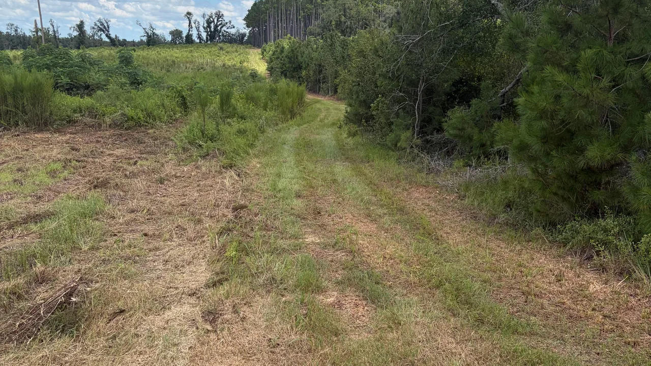 Septic tank installation in Vidalia, GA