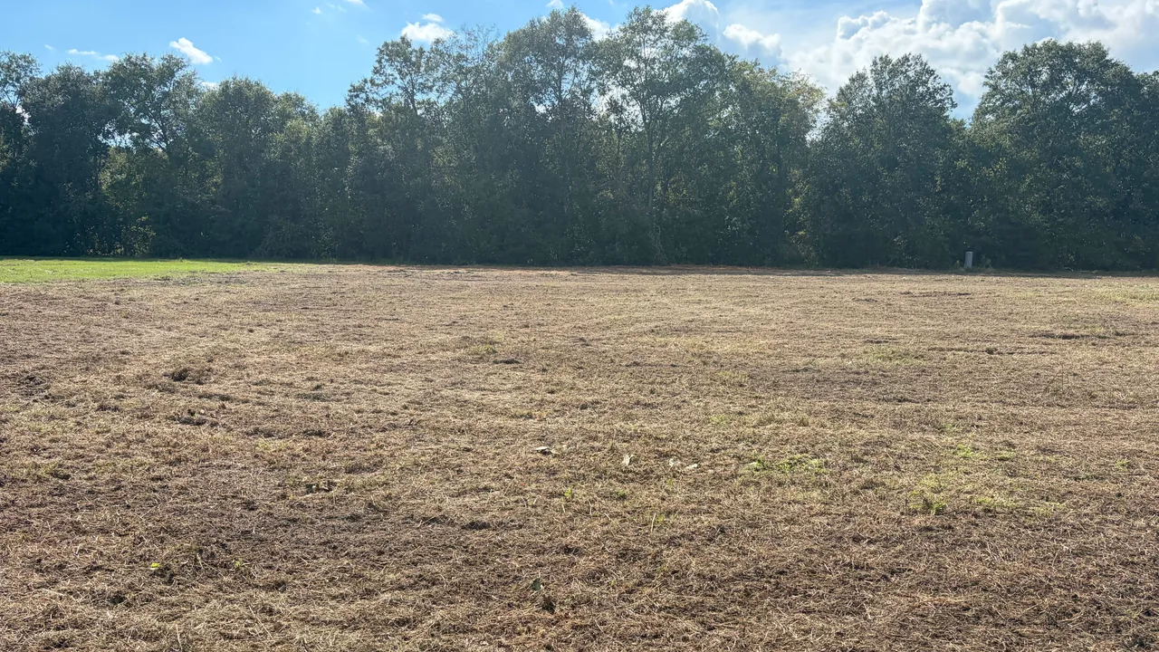 Large field cleared below a row of trees, land clearing and site preparation