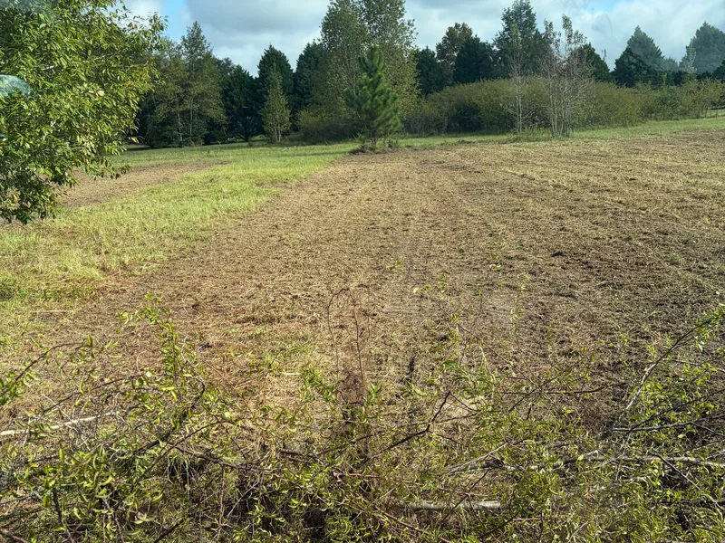 Lot cut down to the ground with trees around the edge, site preparation
