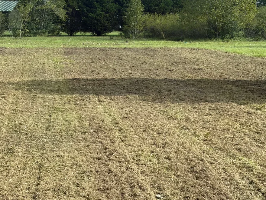 Open field cut low in front of a tree line, site preparation
